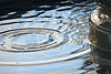 one drop in the water....